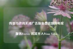 传亚马逊将关闭广告版免费流媒体电视服务Freevee 将其并入Prime Video