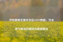 沙特新碳交易平台在COP29亮相，为全球气候项目融资拓展新路径