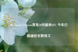 Piedmont Lithium宣布10月裁员32% 今年已裁减近半数员工