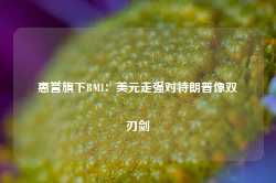 惠誉旗下BMI：美元走强对特朗普像双刃剑