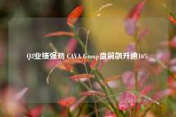 Q3业绩强劲 CAVA Group盘前飙升逾16%