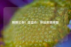 刚刚公布！证监会：依法实施接管