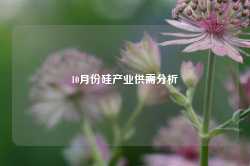 10月份硅产业供需分析