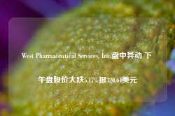 West Pharmaceutical Services, Inc.盘中异动 下午盘股价大跌5.17%报320.64美元