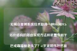 无锡众星微系统技术取得一种Die间PCIe拓扑结构的路由实现方法和装置专利干巴成靠墙根老头了？62岁梁朝伟坦然面对衰老 眼神曾经看狗都深情