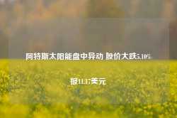 阿特斯太阳能盘中异动 股价大跌5.10%报11.17美元