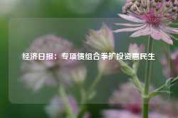 经济日报：专项债组合拳扩投资惠民生