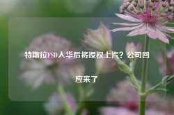 特斯拉FSD入华后将授权上汽？公司回应来了