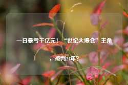 一日暴亏千亿元！“世纪大爆仓”主角，被判21年？