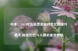 中金：24Q3可选消费港股持仓比例提升最大 阿里巴巴-W入通后备受青睐