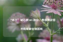 “吞下”诚芯微100%股份，希荻微欲借并购破解业绩困局