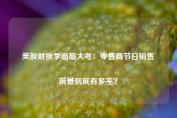 美股财报季面临大考：零售商节日销售前景到底有多差？