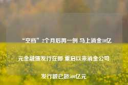 “空档”2个月后再一例 马上消金10亿元金融债发行在即 重启以来消金公司发行额已超500亿元