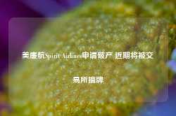 美廉航Spirit Airlines申请破产 近期将被交易所摘牌