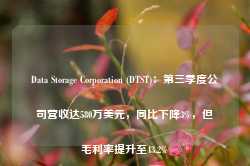 Data Storage Corporation (DTST)：第三季度公司营收达580万美元，同比下降3%，但毛利率提升至43.2%