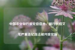 中国农业银行原党委委员、副行长楼文龙严重违纪违法被开除党籍