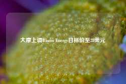 大摩上调Bloom Energy目标价至28美元