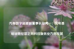 万帮数字能源副董事长郑隽一：充电基础设施经营正向科技服务业方向发展