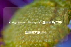 Ginkgo Bioworks Holdings, Inc.盘中异动 下午盘股价大涨5.19%