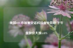 美国OTC市场赛安诺科技盘中异动 下午盘股价大涨5.41%