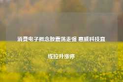 消费电子概念股震荡走强 惠威科技直线拉升涨停