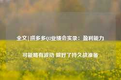 全文|拼多多Q3业绩会实录：盈利能力可能略有波动 做好了持久战准备