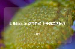 Nu Holdings Ltd.盘中异动 下午盘急速拉升5.00%