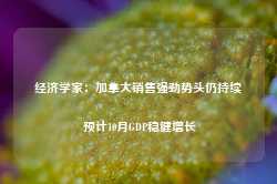 经济学家：加拿大销售强劲势头仍持续 预计10月GDP稳健增长