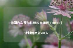 德国汽车零部件供应商博世（BOSCH）计划裁员超5000人