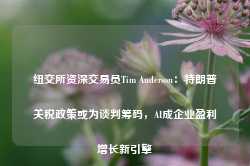 纽交所资深交易员Tim Anderson：特朗普关税政策或为谈判筹码，AI成企业盈利增长新引擎