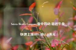 Sotera Health Company盘中异动 临近午盘快速上涨5.15%报13.48美元