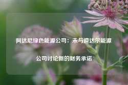 阿达尼绿色能源公司：未与道达尔能源公司讨论新的财务承诺