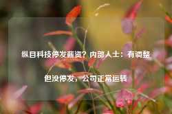 纵目科技停发薪资？内部人士：有调整但没停发，公司正常运转