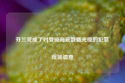 芬兰完成了对受损海底数据光缆的犯罪现场调查