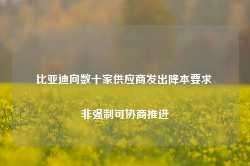 比亚迪向数十家供应商发出降本要求 非强制可协商推进